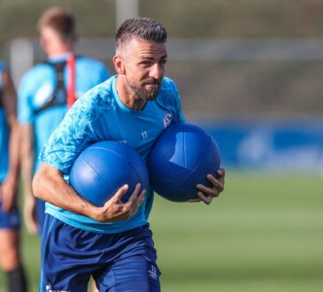 Vedad Ibisevic