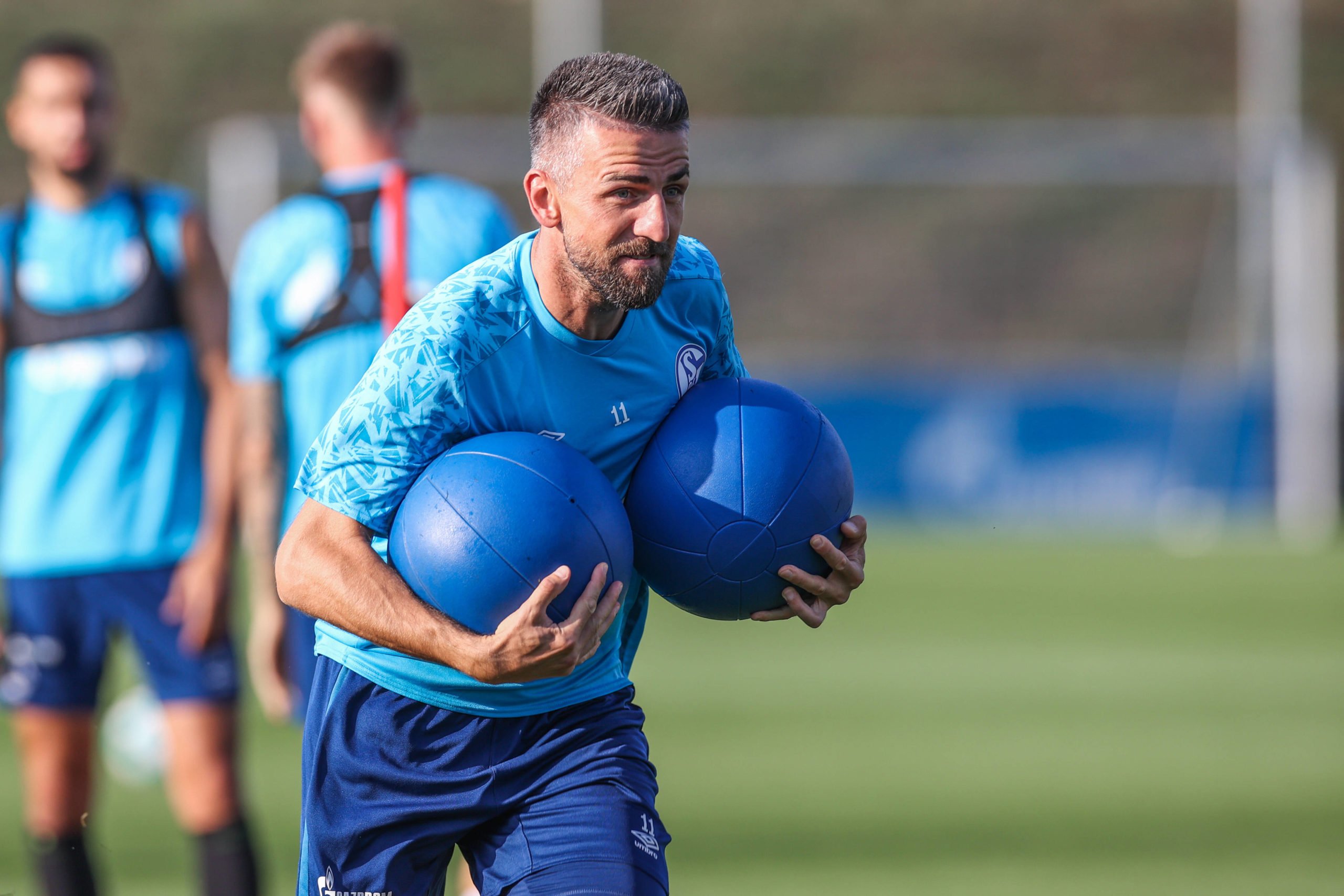 Vedad Ibisevic
