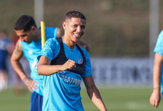 Amine Harit