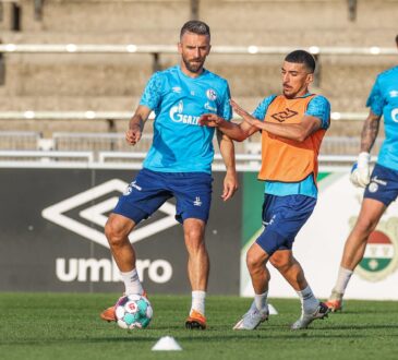 Vedad Ibisevic