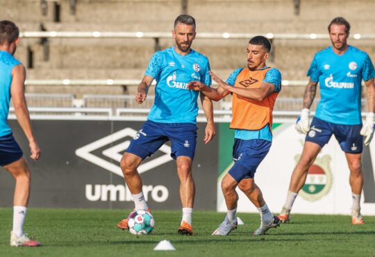 Vedad Ibisevic