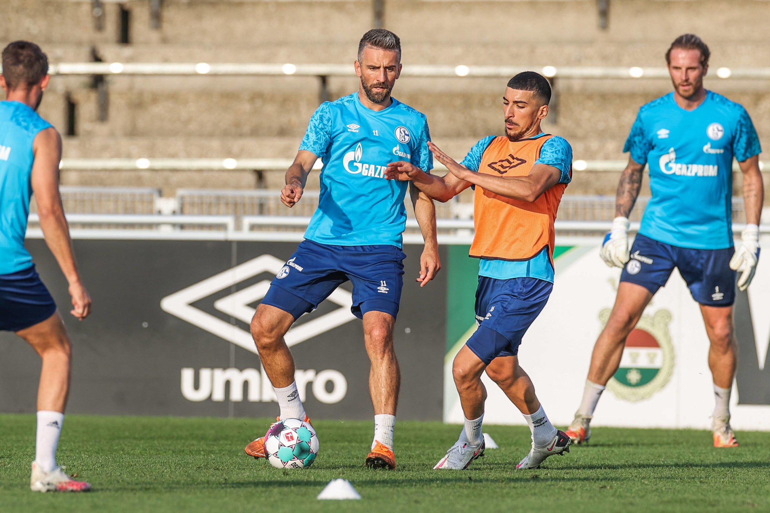 Vedad Ibisevic