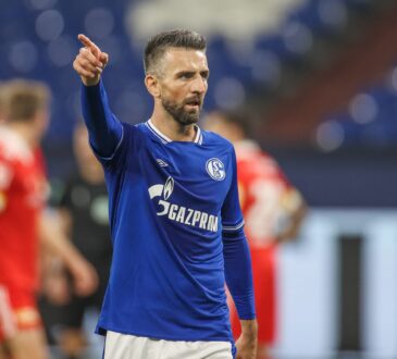 Vedad Ibisevic