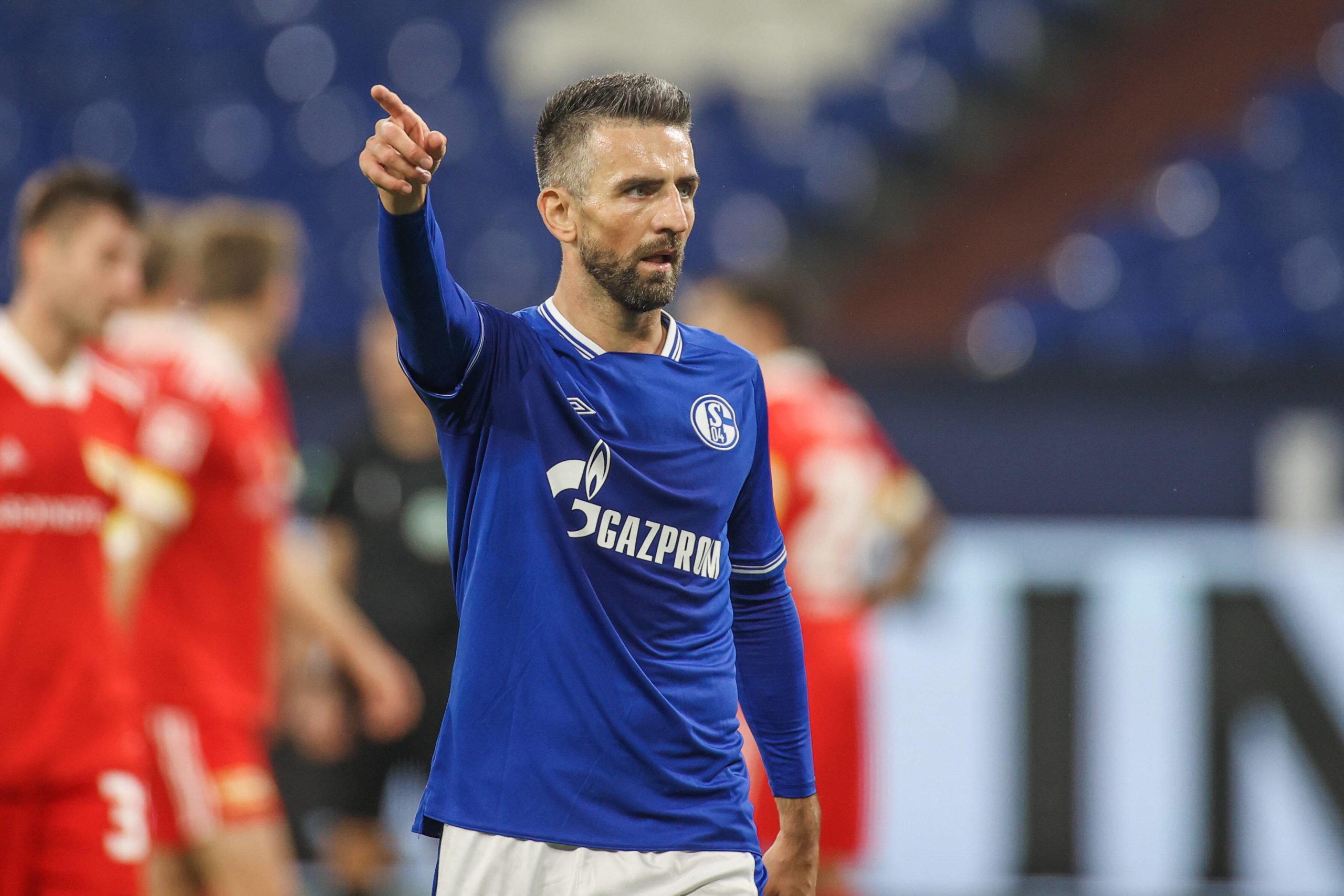 Vedad Ibisevic
