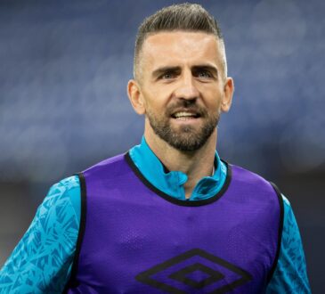Vedad Ibisevic