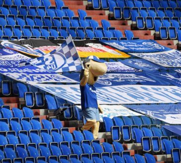 Veltins Arena