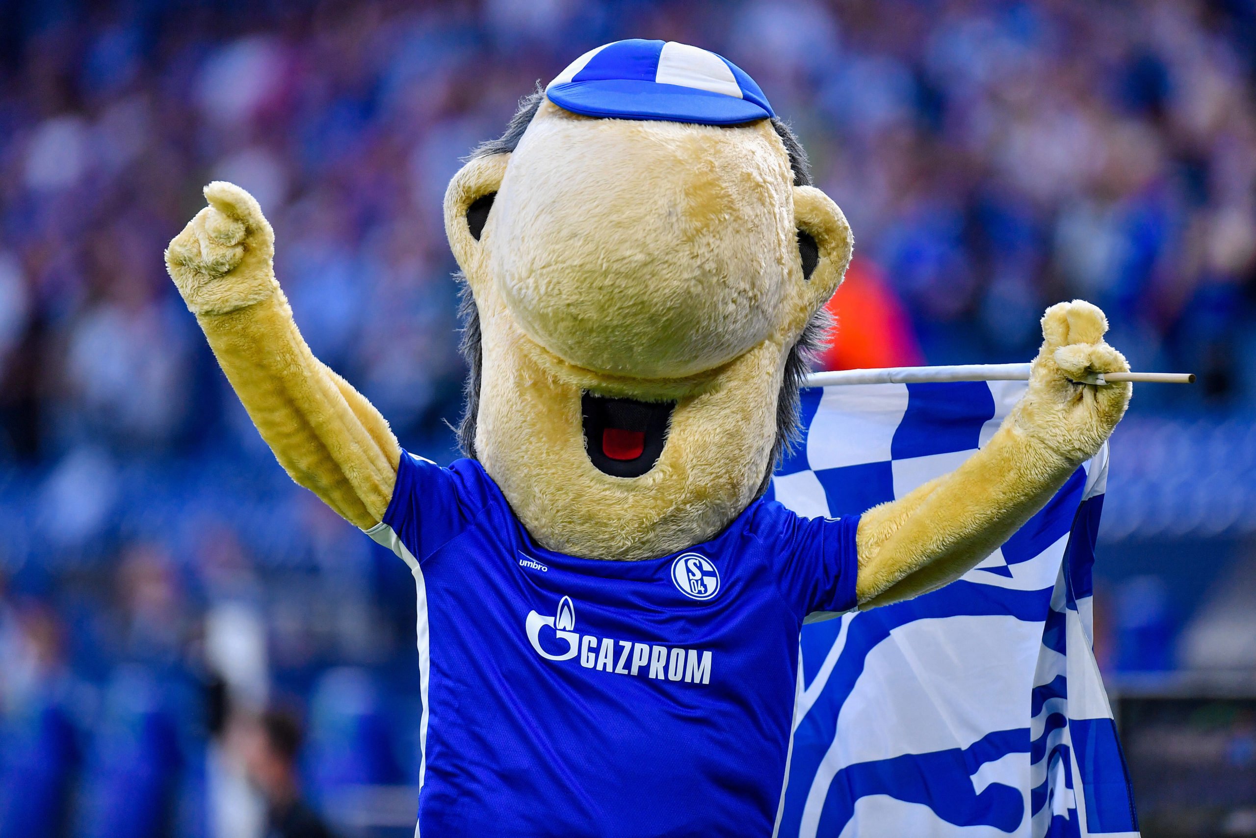 FC Schalke 04