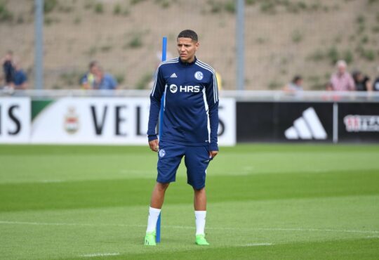 Amine Harit