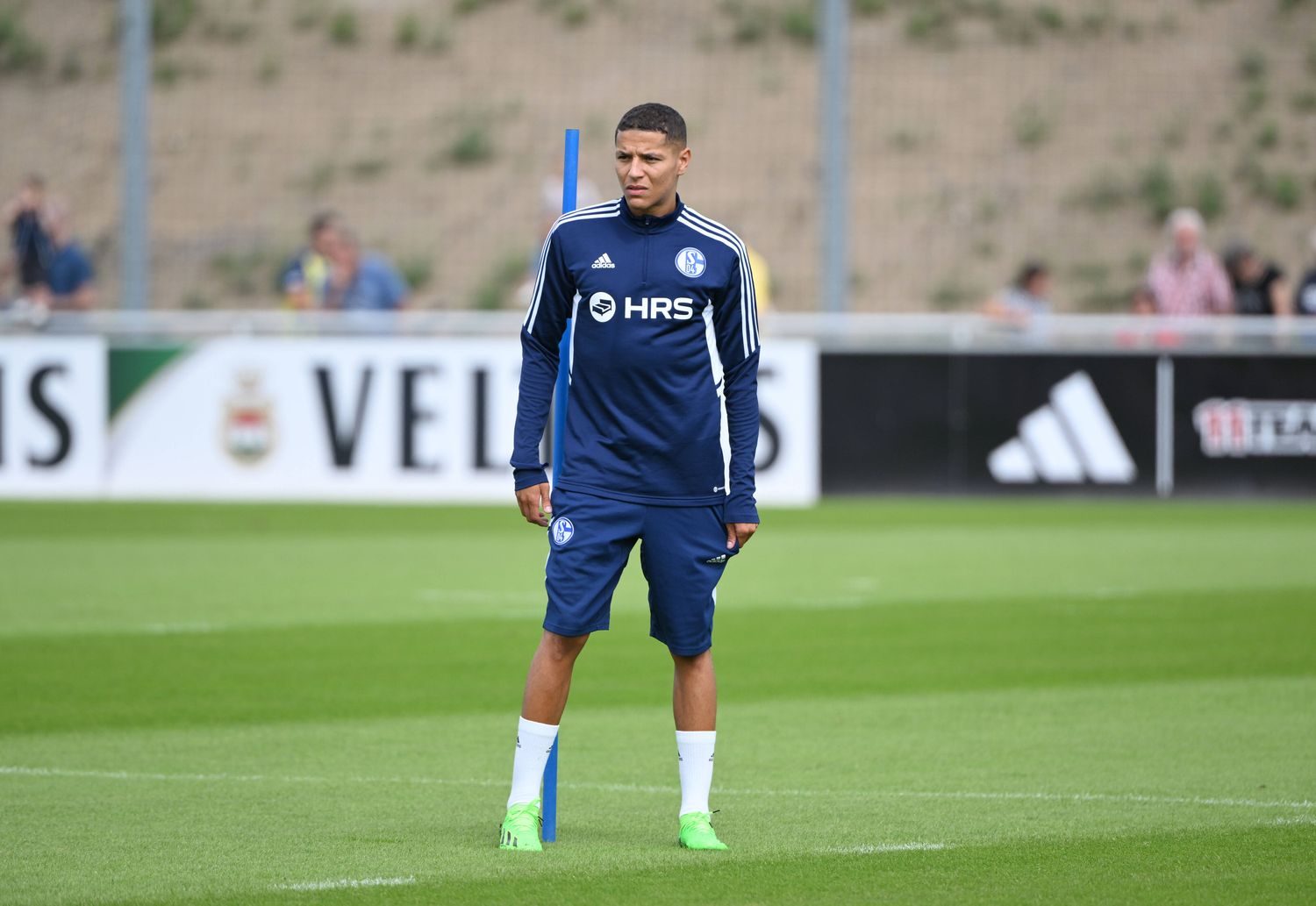 Amine Harit