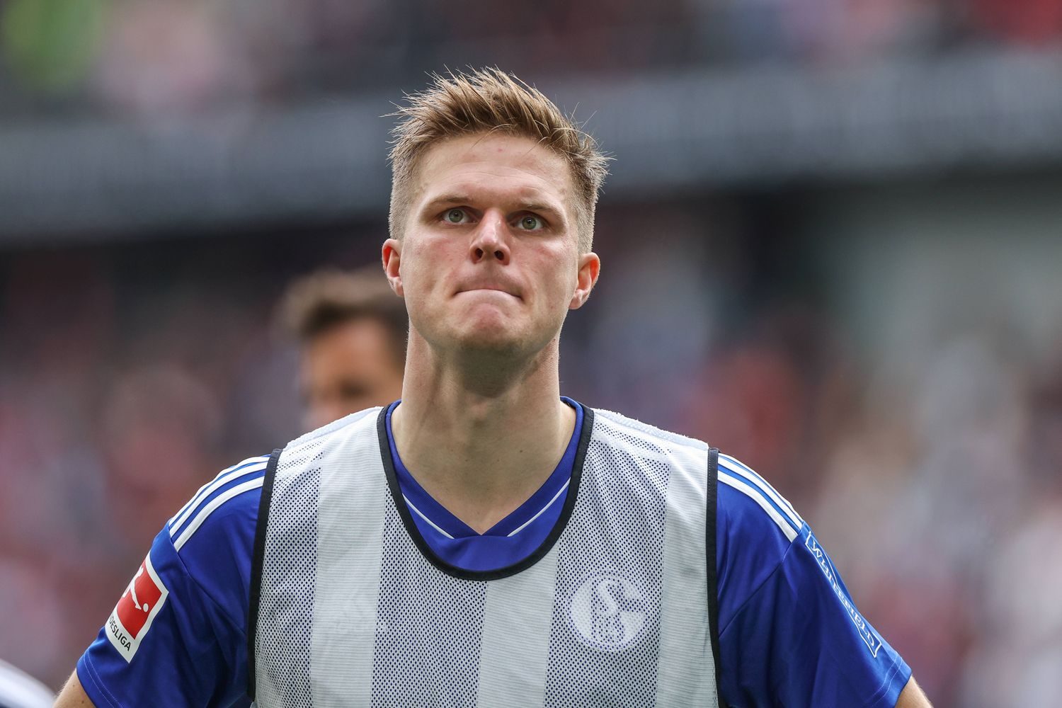 Schalke vs. Freiburg