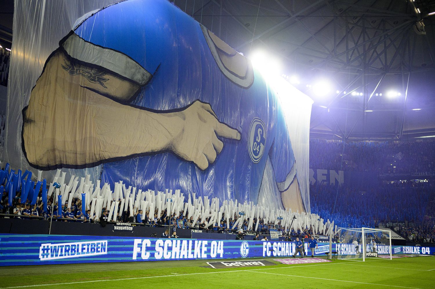 Veltins-Arena