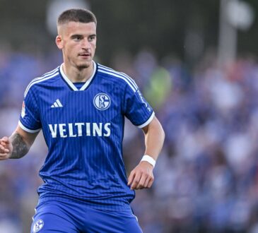 Niklas Castelle