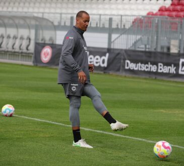 Stephan Loboué