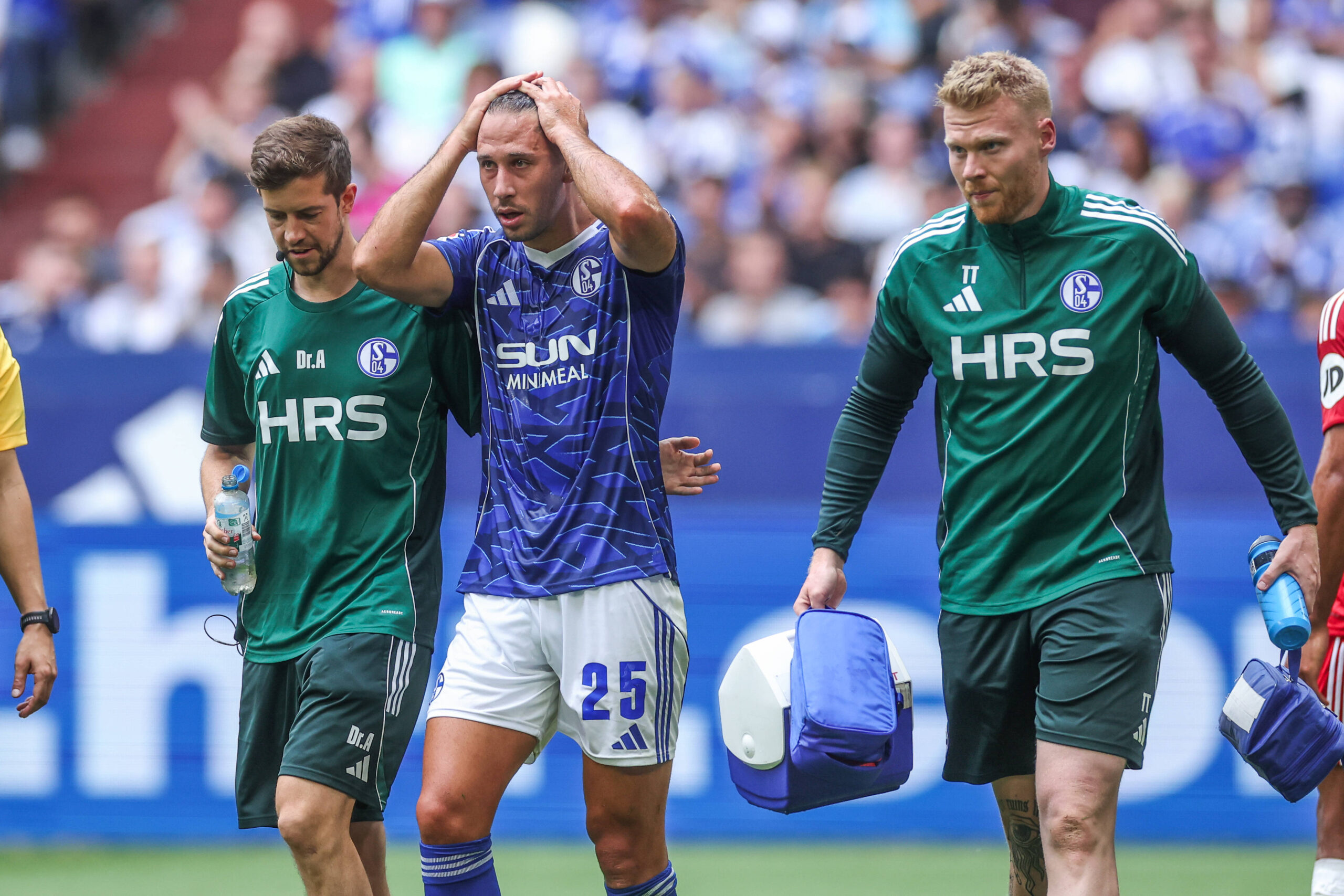 Nikola Katic