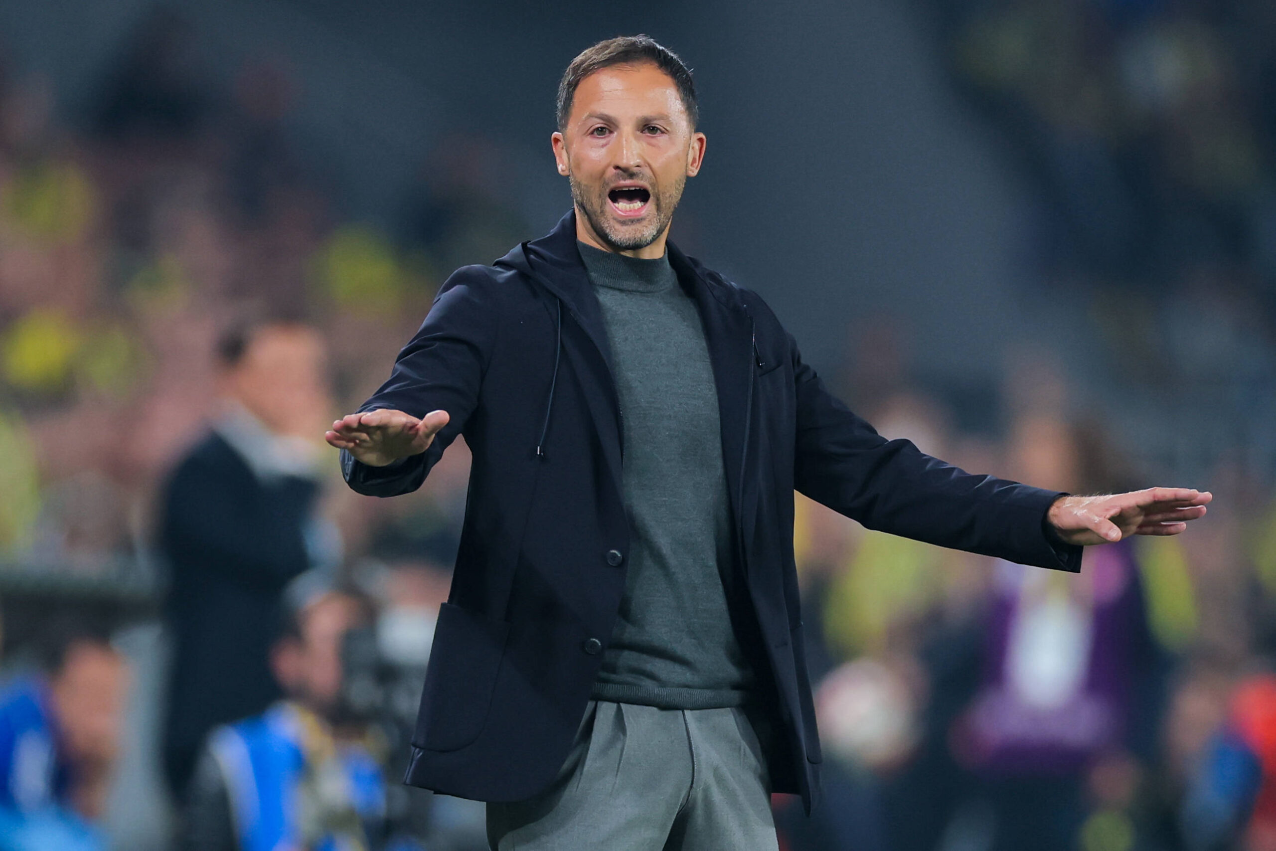 Domenico Tedesco