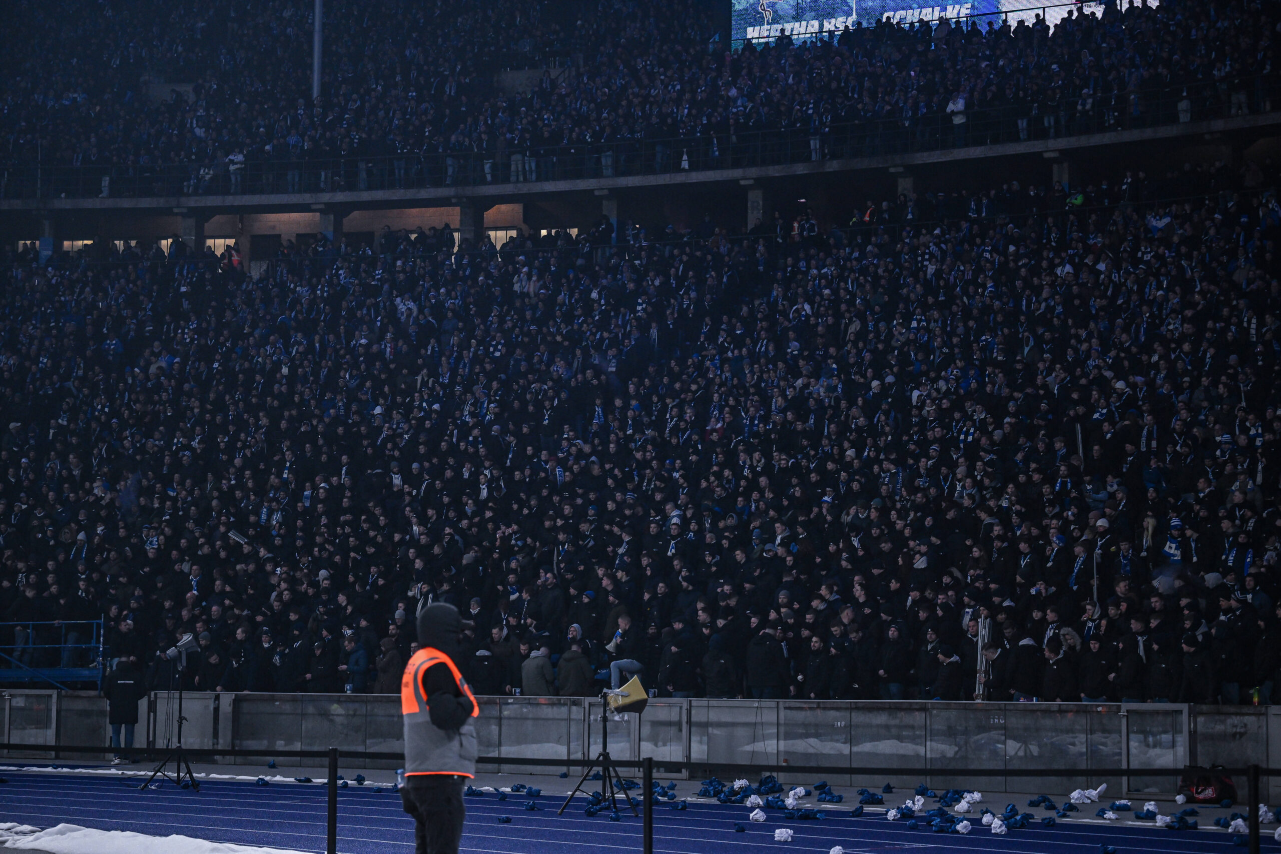 Fans von Hertha BSC