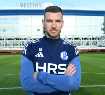 Edin Dzeko