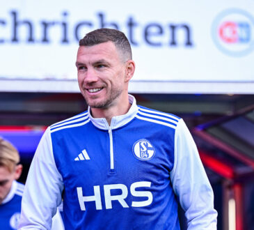 Edin Dzeko