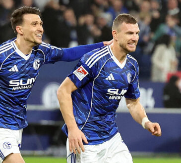 Dejan Ljubicic und Edin Dzeko