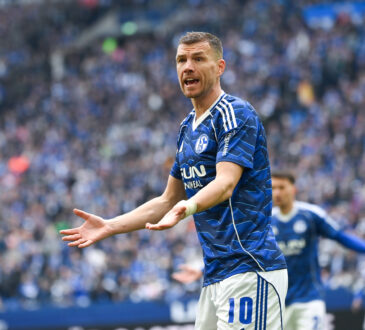 Edin Dzeko