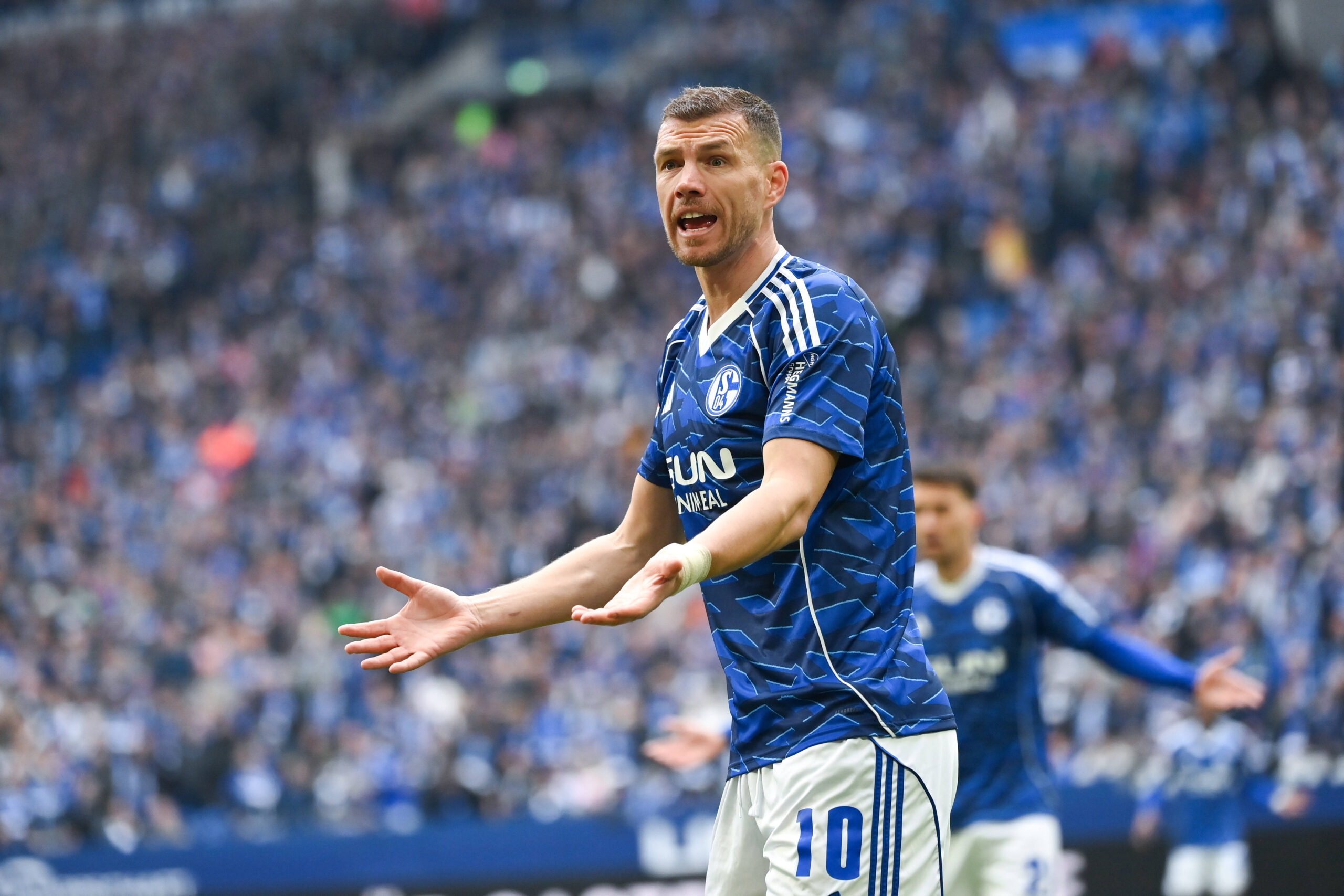 Edin Dzeko
