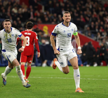 Edin Dzeko
