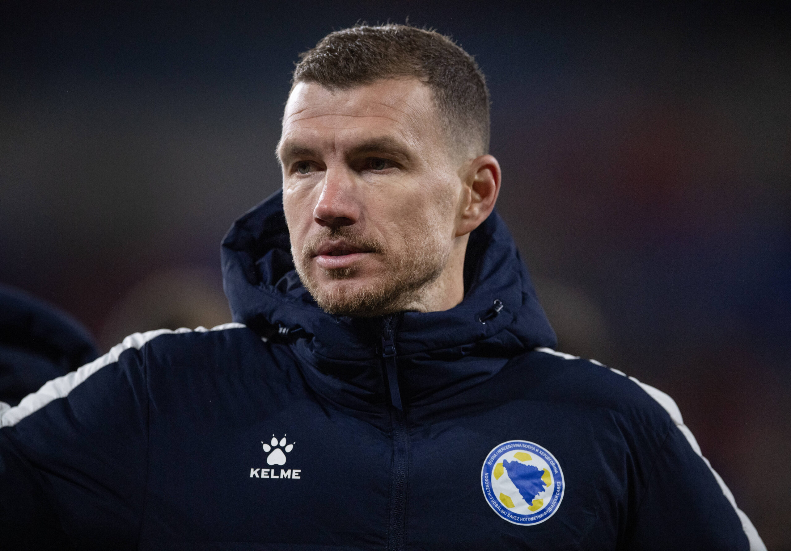 Edin Dzeko