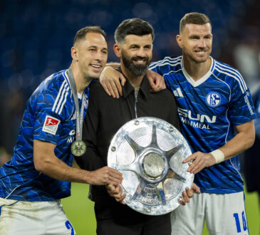 Nikola Katic, Miron Muslic und Edin Dzeko